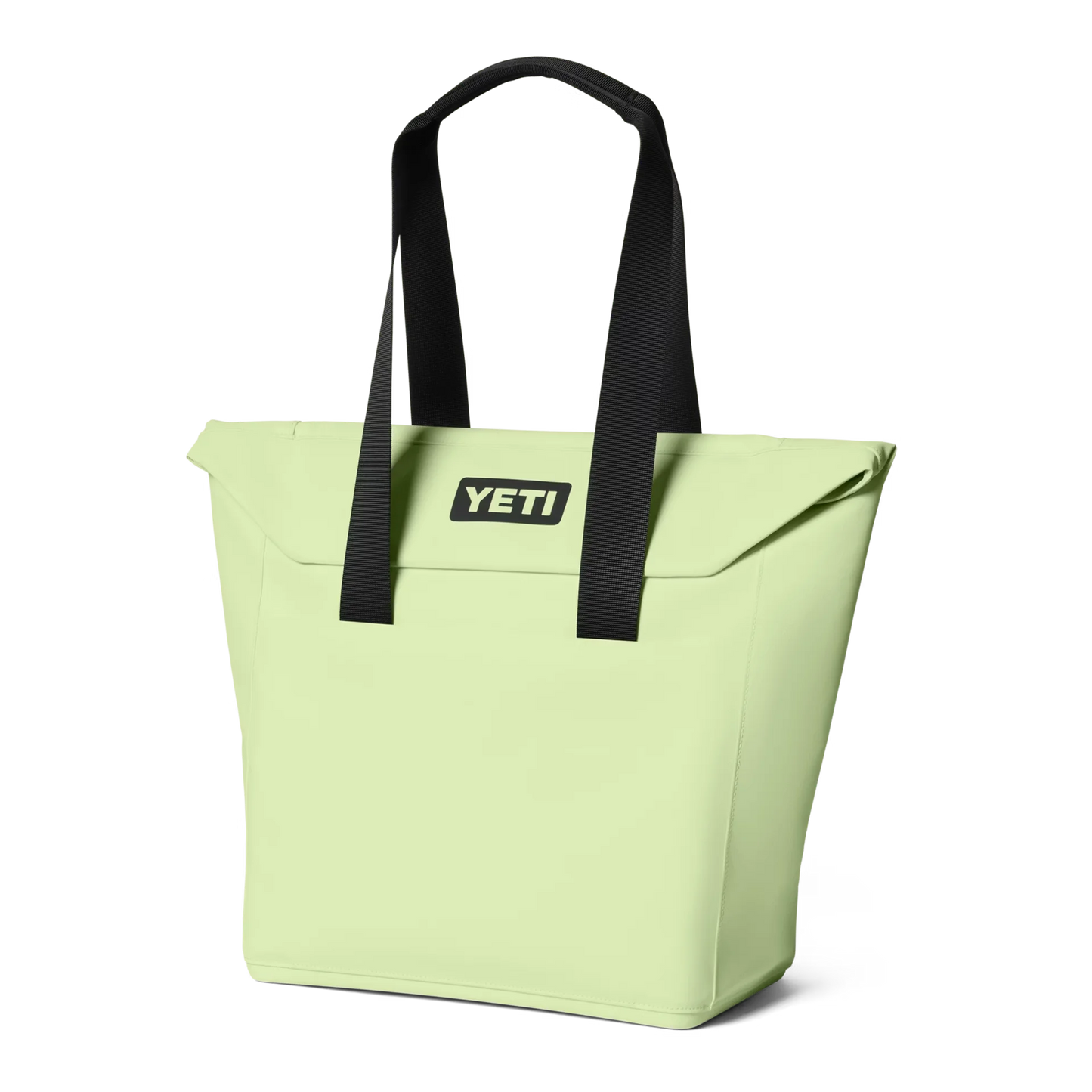 Daytrip® 20L Insulated Tote Bag