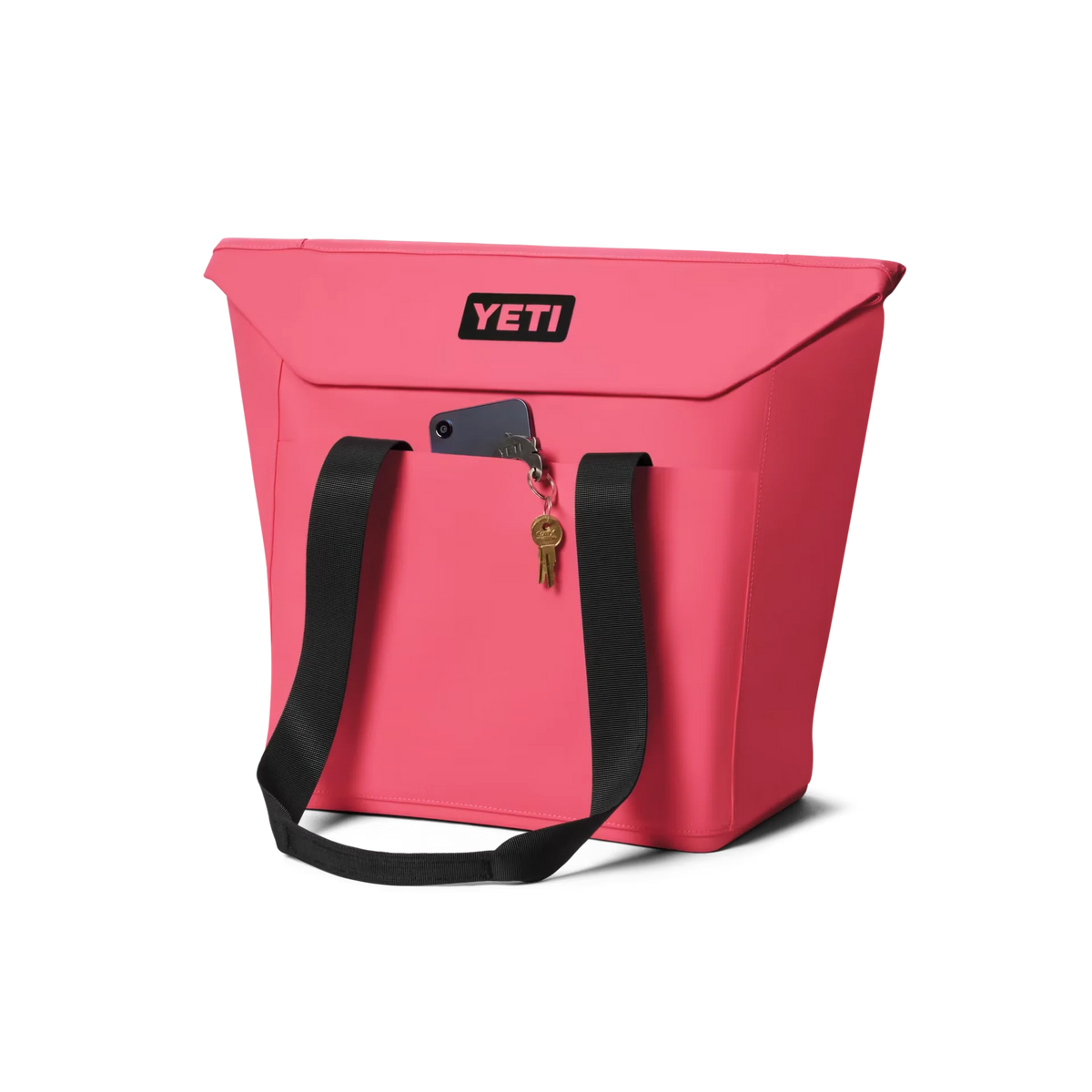Daytrip® 20L Insulated Tote Bag