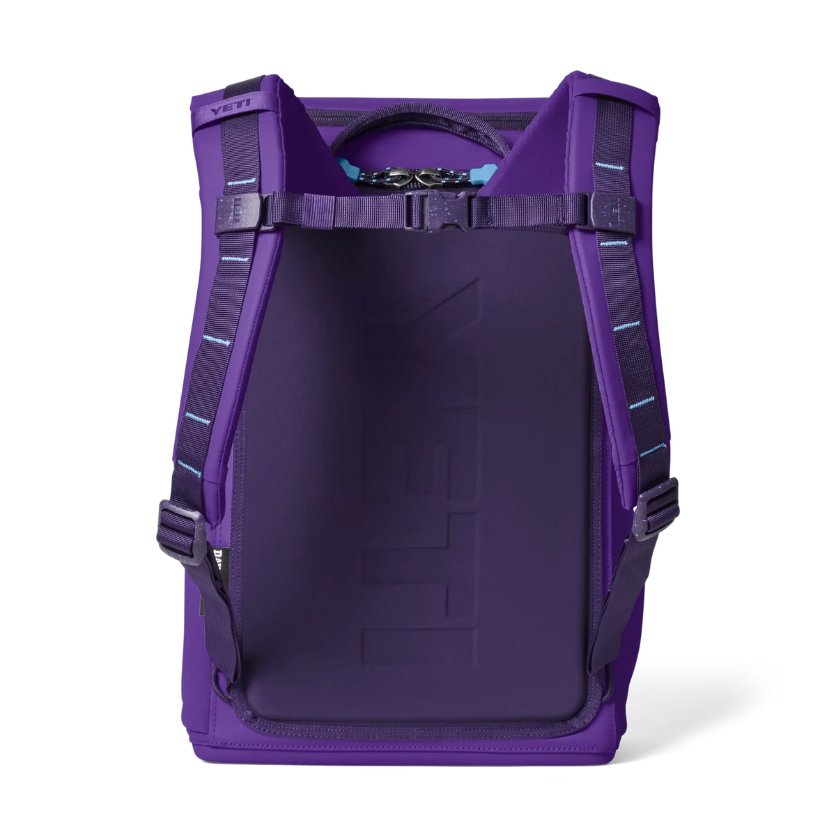 Daytrip® 20L Insulated Backpack