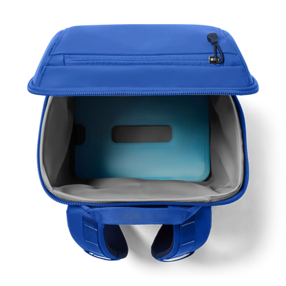 Daytrip® 20L Insulated Backpack